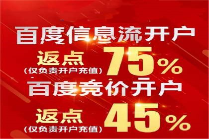 百度竞价包年推广案例深度剖析